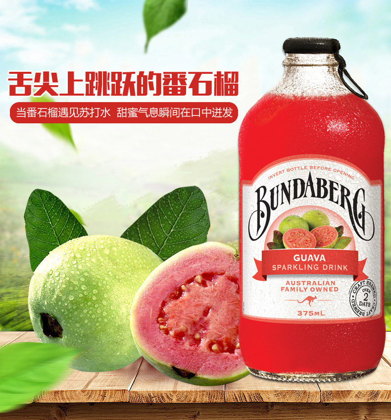宾得宝含气番石榴汁饮料375ml12瓶