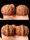 Wenwan Walnut Laishui Palace Jade Seal Lion Head 오래된 나무 일치하는 핸드 플레이트 빨간 남자와 여성 핸드-팔름 Wild Wenwan Walnut Laishui Palace Jade Seal Lion Head 오래된 나무 일치하는 핸드 플레이트 빨간 남자와 여성 핸드-팔름 Wild