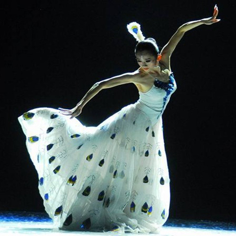 孔雀舞蹈演出服傣族服装孔雀裙服装孔雀舞雀之灵] 此款衣服支持定做