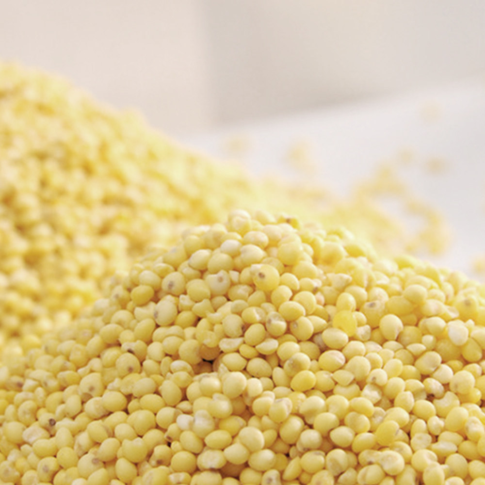 【天猫超市】柴火大院有机大黄米400g五谷杂粮东北粗粮粘黍子米