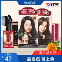 RYO Lü Korea Dazzling Dye Hair Shade White Hair Pure Plant Foam Oiled Oil Cream Natural No Thrill Black Brown Wine Red Wine Red