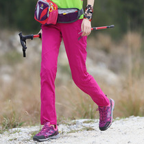 Outdoor womens quick-drying pants Breathable wear-resistant moisture-absorbing hiking hiking pants Travel quick-drying pants thin section