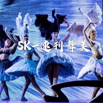 SK shorthand for the Beauty Swan series of customized models