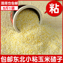 Northeast farmhouse Self-produced corn small mucus slug New rice Sticky Slag Corn 1 1 5 catty of Sticky Ballast Porridge Groceries