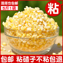 Northeast Jilin Teryield corn slug Sticky Corn Grain 5 catty Grain Porridge Farmyard Glutinous Corn Large Grain Corn Residue