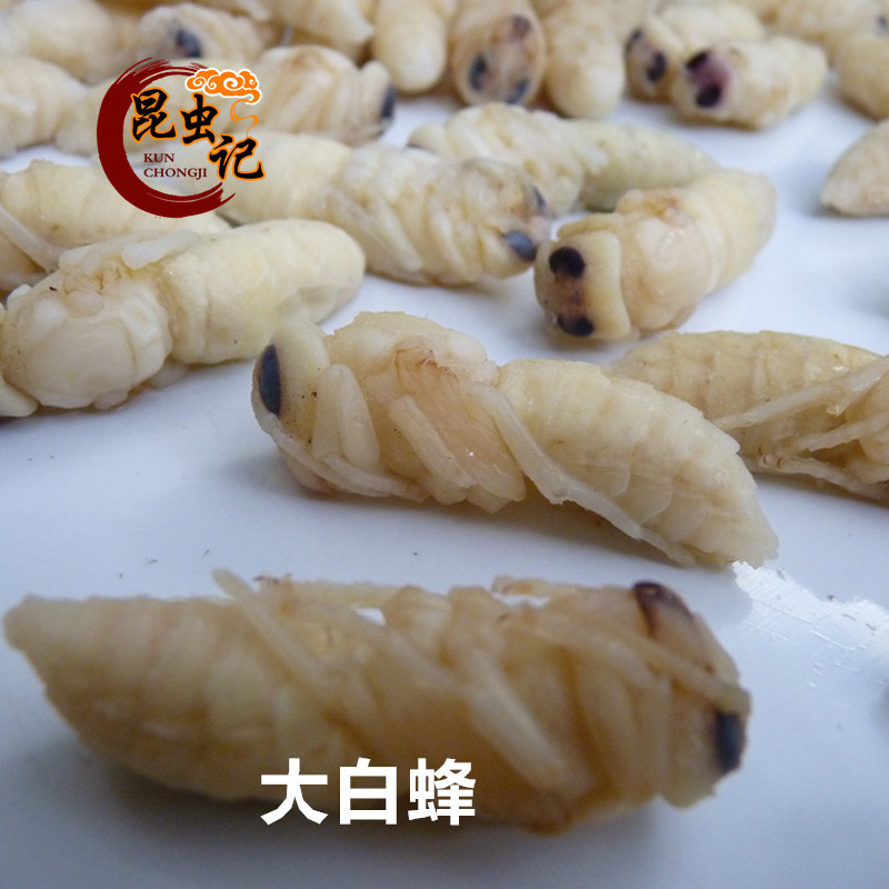 The fresh bee pupa pupa pupa pupa pu insect fresh fresh freezing 500 grams