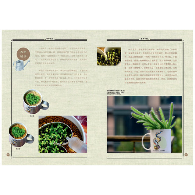 China Geographic palm garden naturalist naturalist lit Jun Zhang Chen Jun-hand experience of ornamental plant cultivation guide CITIC Publishing House science books science illustrations Family / Home home gardening books China Geographic palm garden naturalist naturalist lit Jun Zhang Chen Jun-hand experience of ornamental plant cultivation guide CITIC Publishing House science books science illustrations Family / Home home gardening books