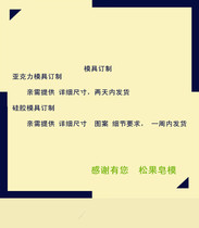 Pingfruit hand soap mold acrylic mold custom rendering mold in any dimensions