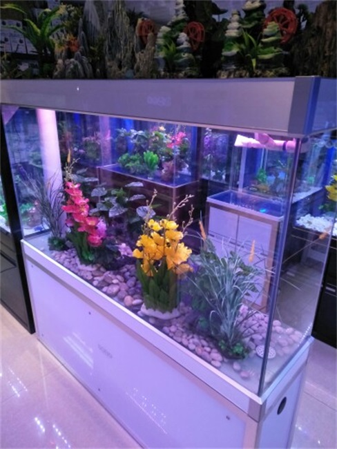 松宝1米屏风鱼缸客厅家用免换水中大型底滤80cm水族箱1.