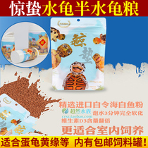 Stinging water turtle semi-water Universal hair color turtle grain good jade fungus feed Brazilian grass turtle egg turtle yellow edge throat increase whale sting