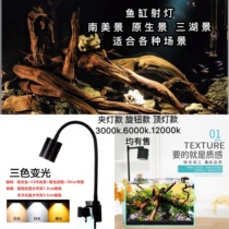 Fish tank spot light Native South American shaped Brontosaurus cylinder Three lake turtle cylinder LED spot light Aquarium light led clip light