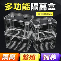 Pneumatic incubation box isolation box Guppy breeding box Acrylic aerobic small fry juveniles laying room spawning