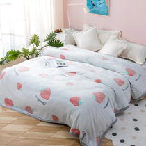 Love blankets flannel blankets winter coral velvet sheets nap blankets single strawberry Hani Y