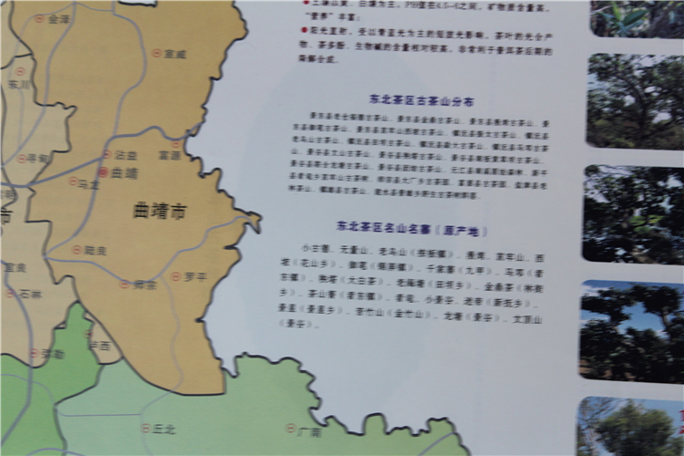 进口材料正版云南普洱茶山地图澜沧江流域普洱茶分布示意图