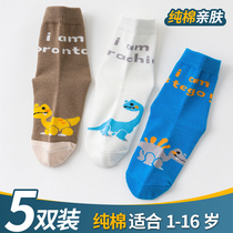 Children Socks Pure Cotton Spring Autumn Thin Section Summer Middle Cylinder Cartoon Baby Socks Toddler Toddlers Students Dinosaur Boys Socks