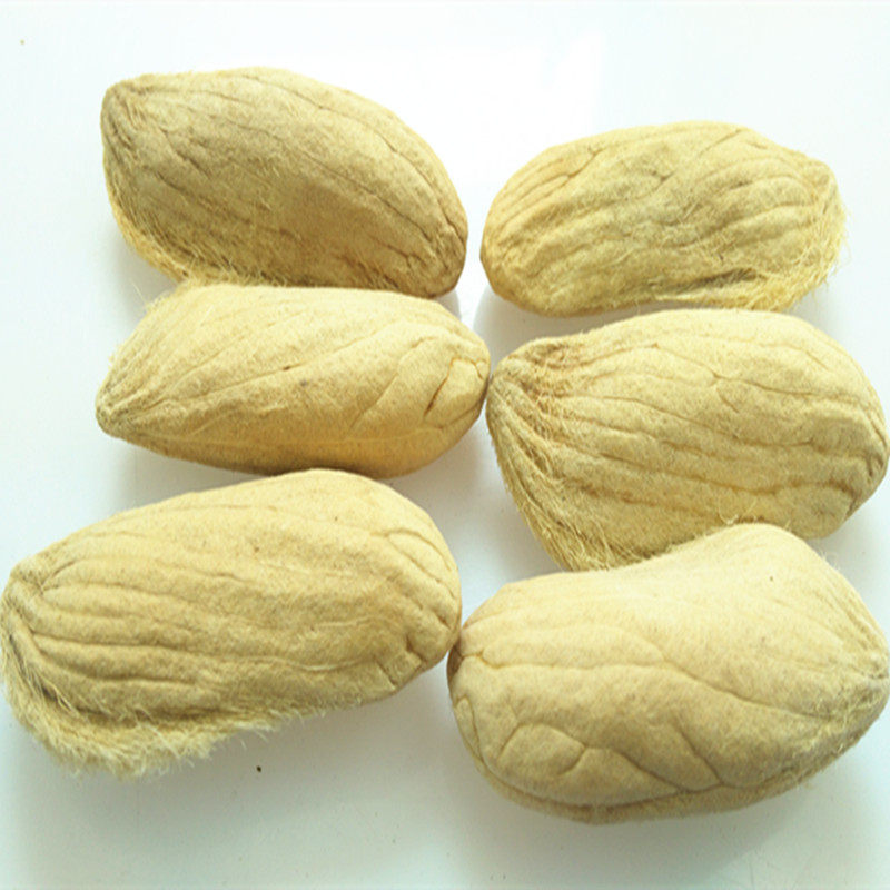 西藏野生长生果 长寿果 精选 男士养生滋补泡酒料 500克包邮