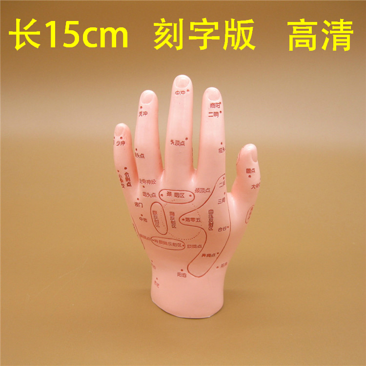 家用伟叶高清手部反射区穴位模型手掌按摩点穴推拿模具刻字手模特