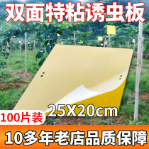 100 double-sided blue-yellow board PVC SAP black insects to kill small flying insects fruit fly greenhouse yellow board paper paste