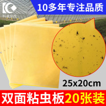 Yellow board double-sided sticky insect board lure blue board paper paste aphids gum yellow kill small flying insects thrips fruit fly greenhouse