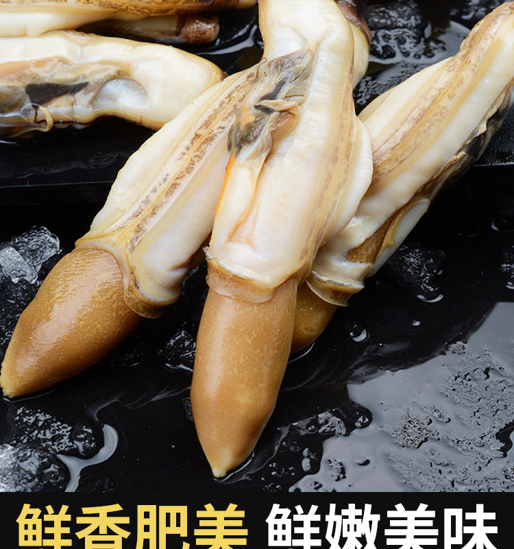 蛏王肉大竹蛏子肉 新鲜现剥冷冻竹节蛏海蛏子肉海鲜批发
