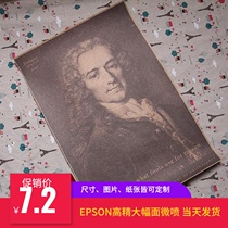 Voltaire Portrait Voltaire Enlightenment Character Poster European Thinker Portrait