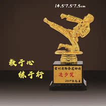 Creative taekwondo special taekwondo trophy set-up customized taekwondo accessories