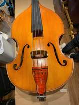 European Jazz Bass double bass David Gage same model