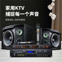 Teles K350 Professional KTV Acoustic Suit Home Singing Home Singing Home Karaoke Power Amplifier Microphone Complete