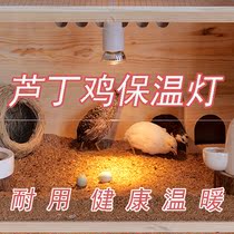 Luding Chicken Insulated Light Parrot Insulation Lamp Climbing to Quail Warming Light Yukon Chicks Warm Up Heating Heating