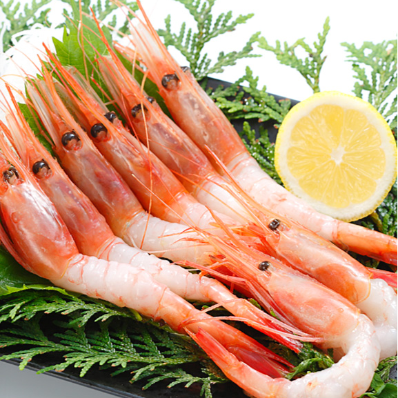 进口船冻新鲜蓝籽甜虾la 2l 3l超低温冷冻甜虾日本寿司料理店刺身