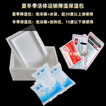 Winter reptile heat preservation set crawling pet heating bag summer cooling bag big pocket pet insect spade beetle Unicorn