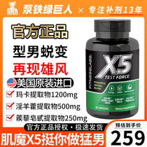 American musculature X5 pro-testosterone Capsule Turbin cariniferine Tris Melanin Plant Natural Testosterone