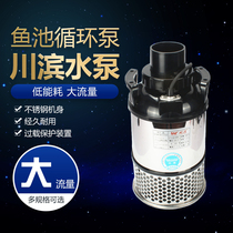 Sichuan waterfront pump stainless steel QS50 100 300W fish pond circulating pump clean water pump large flow submersible pump