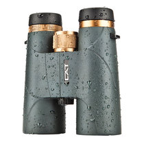 BOSMA Bo Guanxin Golden Tiger second generation 8X42 10X42 binoculars high power HD waterproof bird watching mirror