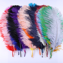 DIY Ornament Ostrich Fur Decoration Feather Accessories Wedding Flower Arrangement Stage Performance Clothing Accessories 40-45 cm