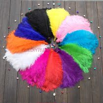 South Africa Imports Ostrich Wool Clothing Accessories Performance props DIY feather ornaments 25-30 cm