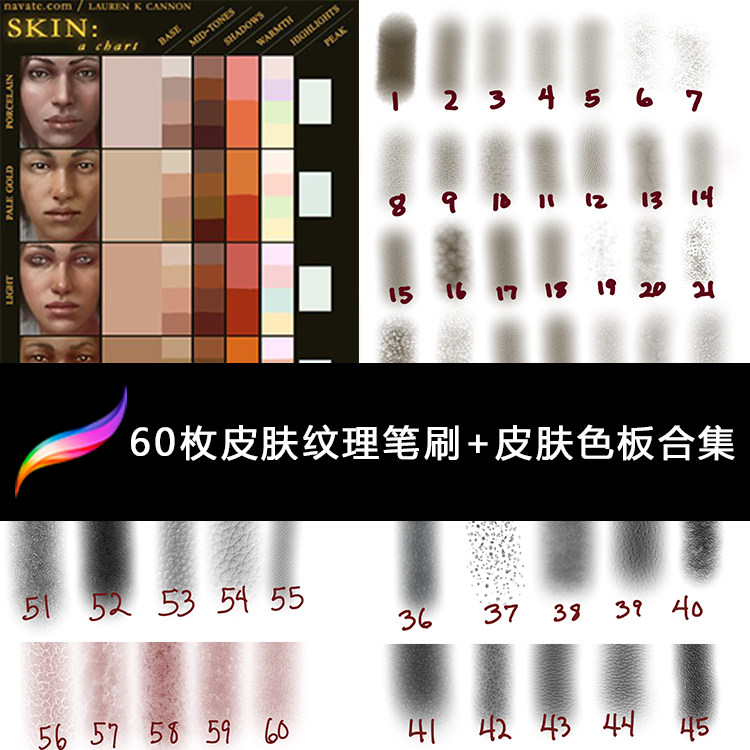 procreate笔刷 60枚专业手绘细腻皮肤纹理笔刷 色板素材合集
