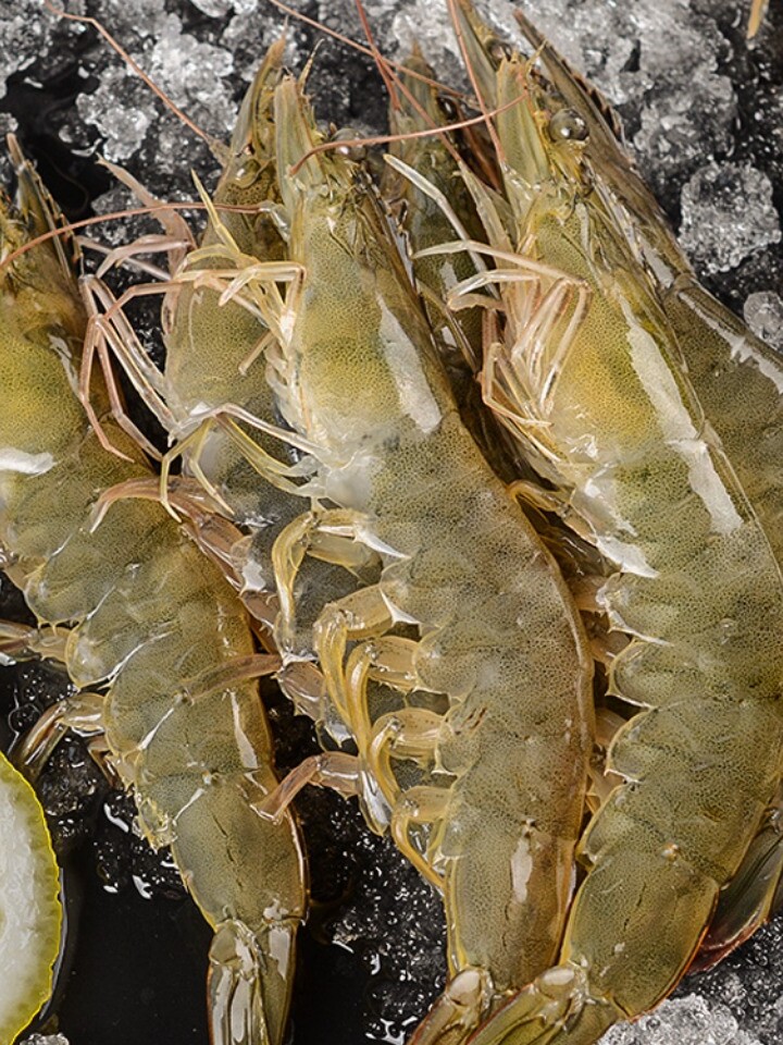 虾鲜活海鲜虎虾红虾新鲜大虾