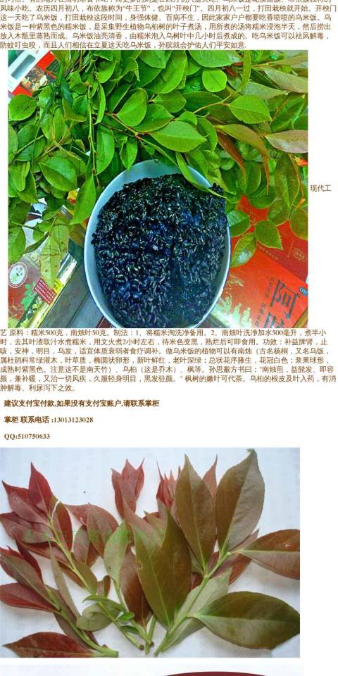 2017自采野生新鲜中药材乌饭树叶乌饭草南烛叶黑官膳食材鲜品500g_7折