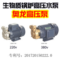 Biomass boiler water pump high-pressure swirl pump 25DW-1100 Oron high-pressure pump booster pump water inlet pressurized pump