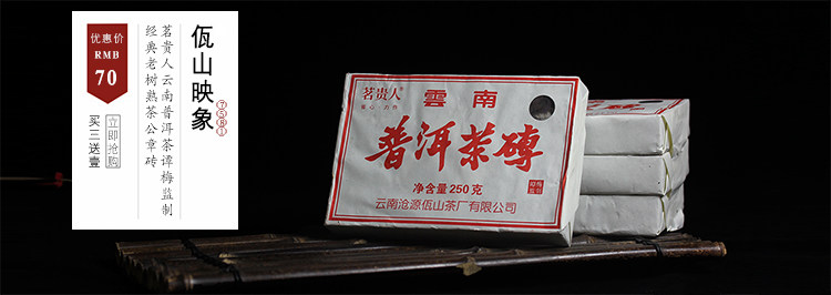 7581 Tan Meiya Brick Big Picture 750.jpg
