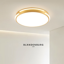 Nordic ultra-thin brass suction top lamp modern light lavish minimalist toilet bedroom living room brass intelligent suction light