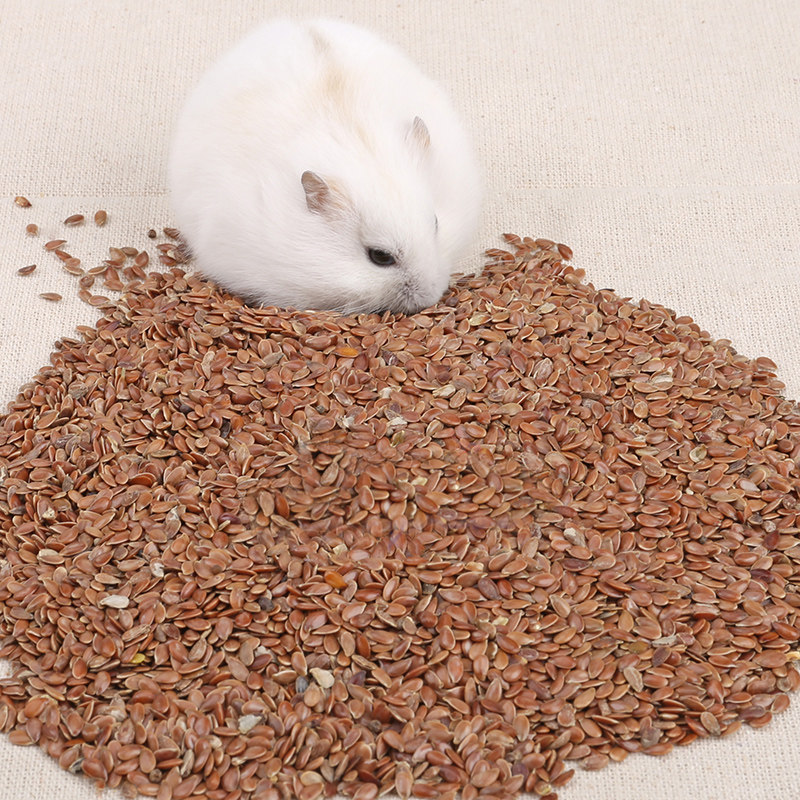仓鼠天然仓鼠天竺鼠 兔子亚麻籽50g 仓鼠纤维