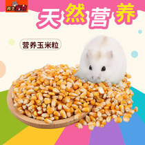 Regenerated pet hamster granary rat grain whole grain corn kernels 100g round and full