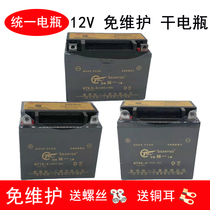 New continent motorcycle tricycle ladies scooter curved beam car 12V unified maintenance-free dry battery battery