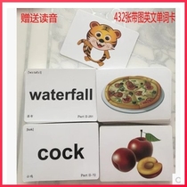 Collar YouTuman flashcards early to teach literacy 432 Bilingual look at the English word card full set ripping up