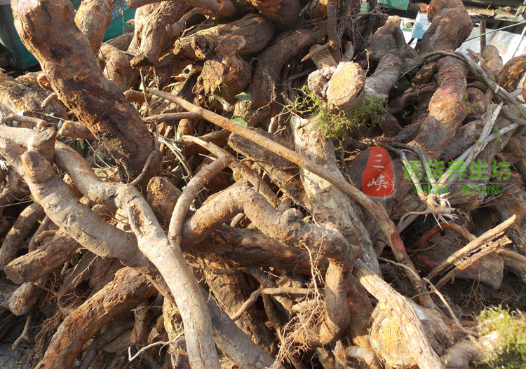 神农架野生猕猴桃根 藤梨根 阳桃根 雄洋桃根 500克 包邮 雄根