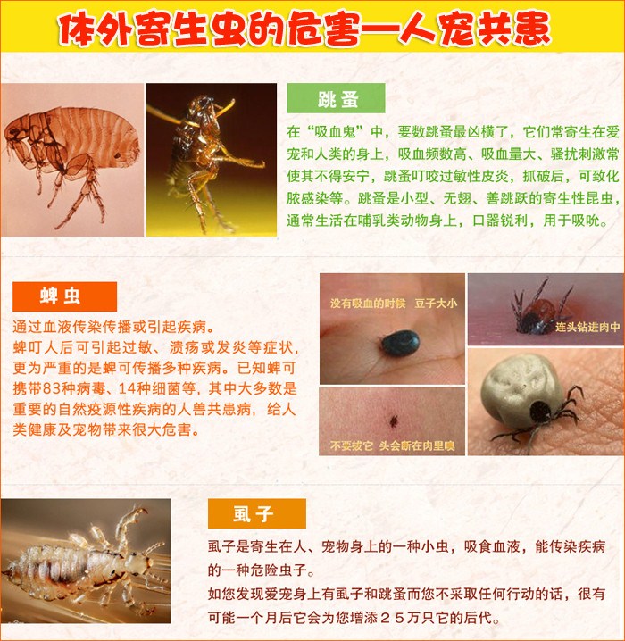 a型灭虫宁狗狗体外驱虫滴剂去除虱子跳蚤杀虫剂宠物猫咪犬外狗用