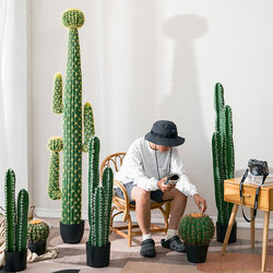 Nordic simulated cactus fake cactus ball measuring ruler tropical green plants indoor window decoration potted landscaping