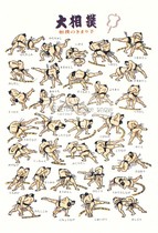 Japanese tourist souvenir hand-painted postcard big sumo